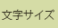 �����T�C�Y